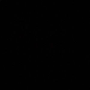 Meet your Posher, Jayla